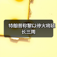 特朗普称黎以停火将延长三周（图4）