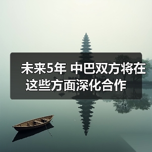 未来5年 中巴双方将在这些方面深化合作(图1) 未来5年 中巴双方将在这些方面深化合作(图1)