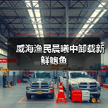 威海渔民晨曦中卸载新鲜鲍鱼（图3）