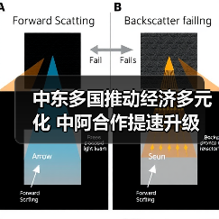 中东多国推动经济多元化 中阿合作提速升级（图3）