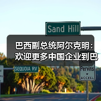 巴西副总统阿尔克明：欢迎更多中国企业到巴西投资（图3）