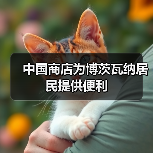 中国商店为博茨瓦纳居民提供便利(图4) 中国商店为博茨瓦纳居民提供便利(图4)