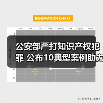 公安部打击知识产权犯罪 典型案例解析助力企业发展-启芯新知日报