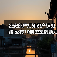 公安部严打知识产权犯罪 公布10典型案例助力高质量发展（图2）