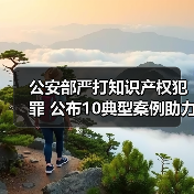 公安部严打知识产权犯罪 公布10典型案例助力高质量发展（图4）