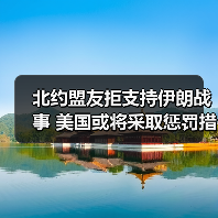 北约盟友拒支持伊朗战事 美国或将采取惩罚措施？（图2）
