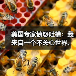 美国专家愤怒吐槽：我来自一个不关心世界、甚至不关心本国穷人的国家
