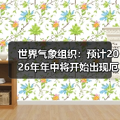 世界气象组织：预计2026年年中将开始出现厄尔尼诺现象（图2）