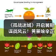 《孤战迷城》开启暑期谍战风云!黄景瑜辛芷蕾“王炸”组合强势来袭(图2) 《孤战迷城》开启暑期谍战风云!黄景瑜辛芷蕾“王炸”组合强势来袭(图2)