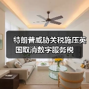 特朗普威胁关税施压英国取消数字服务税（图4）