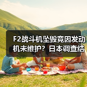 F2战斗机坠毁竟因发动机未维护?日本调查结果揭秘(图4) F2战斗机坠毁竟因发动机未维护?日本调查结果揭秘(图4)