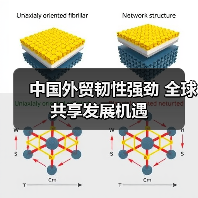 中国外贸韧性强劲 全球共享发展机遇（图2）