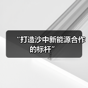 “打造沙中新能源合作的标杆”(图2) “打造沙中新能源合作的标杆”(图2)