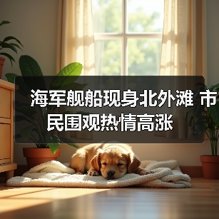 海军舰船现身北外滩 市民围观热情高涨（图4）