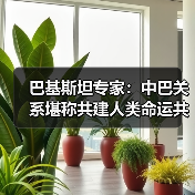 巴基斯坦专家:中巴关系堪称共建人类命运共同体典范(图2) 巴基斯坦专家:中巴关系堪称共建人类命运共同体典范(图2)