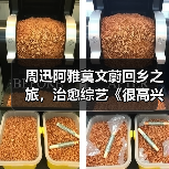 周迅阿雅莫文蔚回乡之旅,治愈综艺《很高兴认识你3》收官引热议(图4) 周迅阿雅莫文蔚回乡之旅,治愈综艺《很高兴认识你3》收官引热议(图4)