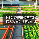 6.8%经济增幅背后的2亿人次与245万吨：多领域发展活力解析