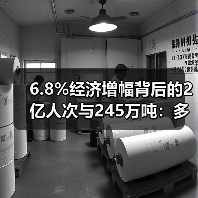 6.8%经济增幅背后的2亿人次与245万吨：多领域发展活力解析（图3）