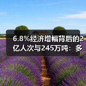 6.8%经济增幅背后的2亿人次与245万吨：多领域发展活力解析（图2）