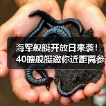 海军舰艇开放日来袭！40艘舰艇邀你近距离参观