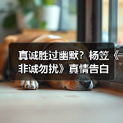 真诚胜过幽默?杨笠《非诚勿扰》真情告白(图4) 真诚胜过幽默?杨笠《非诚勿扰》真情告白(图4)