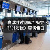 真诚胜过幽默?杨笠《非诚勿扰》真情告白(图1) 真诚胜过幽默?杨笠《非诚勿扰》真情告白(图1)