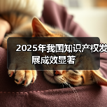 2025年我国知识产权发展成效显著