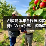 AI智能体与全栈技术解析：Web系统、移动应用及互联网开发商全解读（图4）