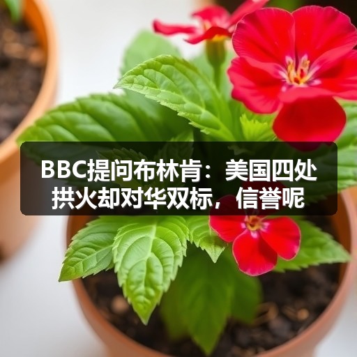 BBC提问布林肯：美国四处拱火却对华双标，信誉呢？