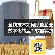 全栈技术如何赋能企业数字化转型?软盟实践揭秘新范式(图3) 全栈技术如何赋能企业数字化转型?软盟实践揭秘新范式(图3)