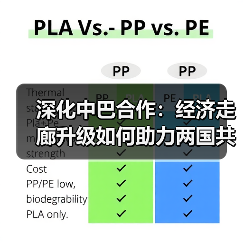 深化中巴合作:经济走廊升级如何助力两国共赢?(图2) 深化中巴合作:经济走廊升级如何助力两国共赢?(图2)