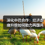 深化中巴合作:经济走廊升级如何助力两国共赢?(图4) 深化中巴合作:经济走廊升级如何助力两国共赢?(图4)