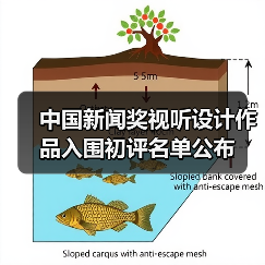 中国新闻奖视听设计作品入围初评名单公布（图4）