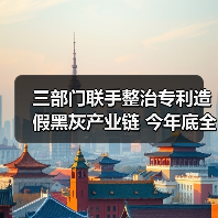三部门联手整治专利造假黑灰产业链 今年底全面清除（图2）