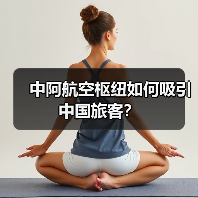 中阿航空枢纽如何吸引中国旅客?(图3) 中阿航空枢纽如何吸引中国旅客?(图3)
