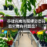 菲律宾南海强硬姿态背后究竟有何算盘?(图3) 菲律宾南海强硬姿态背后究竟有何算盘?(图3)