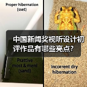 中国新闻奖视听设计初评作品有哪些亮点？（图3）
