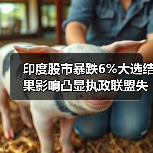 印度股市暴跌6%大选结果影响凸显执政联盟失利(图4) 印度股市暴跌6%大选结果影响凸显执政联盟失利(图4)