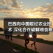巴西向中国取经农业技术 深化合作破解粮食难题(图4) 巴西向中国取经农业技术 深化合作破解粮食难题(图4)