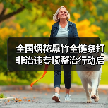 全国烟花爆竹全链条打非治违专项整治行动启动（图2）