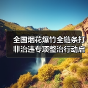 全国烟花爆竹全链条打非治违专项整治行动启动（图4）