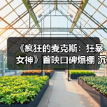 《疯狂的麦克斯:狂暴女神》首映口碑爆棚 沉浸式废土美学引热议(图3) 《疯狂的麦克斯:狂暴女神》首映口碑爆棚 沉浸式废土美学引热议(图3)
