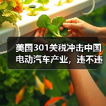 美国301关税冲击中国电动汽车产业，违不违WTO规则？（图2）