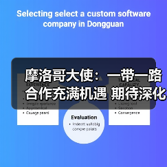 摩洛哥大使：一带一路合作充满机遇 期待深化中摩关系（图4）