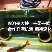 摩洛哥大使：一带一路合作充满机遇 期待深化中摩关系（图3）