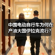 中国电动自行车为何在产油大国伊拉克流行？（图3）