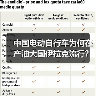 中国电动自行车为何在产油大国伊拉克流行？（图4）