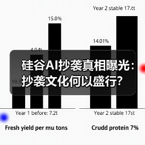 硅谷AI抄袭真相曝光：抄袭文化何以盛行？（图2）