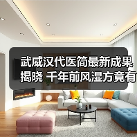 武威汉代医简最新成果揭晓 千年前风湿方竟有效？（图3）