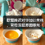 欧盟推迟对华加征关税，背后深层原因曝光（图4）